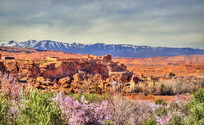 Springtime in Morocco's "Rose Valley"