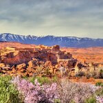 Springtime in Morocco's "Rose Valley"