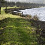 A footpath in Woerden