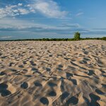 Pass the beaches, vineyards, and farms of Prince Edward County on your way to Québec 