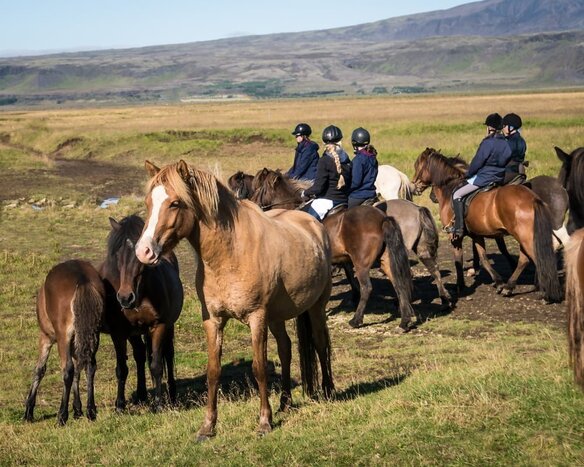 Horseback Riding Below the Mountains