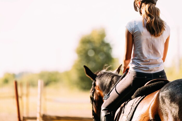 Horse riding in Hydra