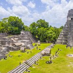 Enjoy a guided tour of the impressive Maya ruins of Tikal National Park