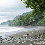 How to Get from Manuel Antonio to Corcovado National Park