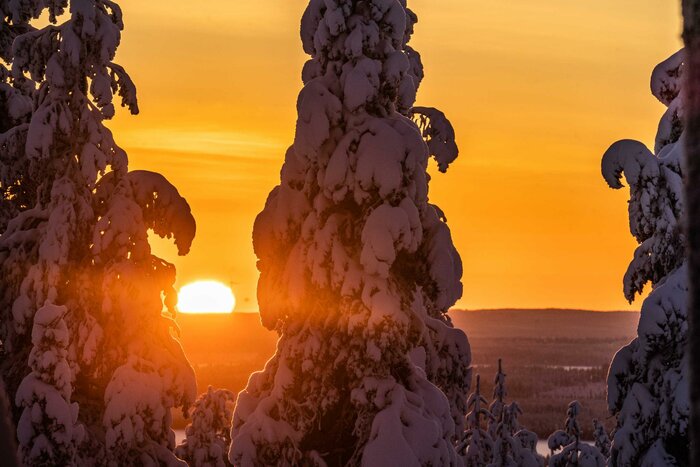 Riisitunturi Private Photography Expedition