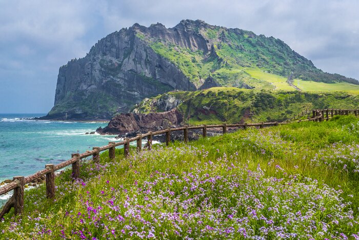 Finish your South Korea wellness escape on Jeju Island with stunning volcanic views