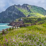 Finish your South Korea wellness escape on Jeju Island with stunning volcanic views