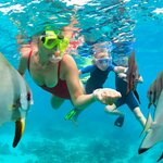 Snorkel together as a family at the Great Barrier Reef