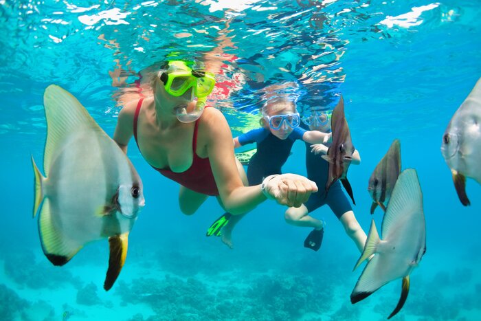 Snorkel together as a family at the Great Barrier Reef
