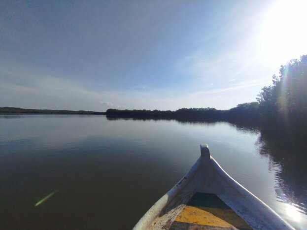 Mangrove Tour with Local Fisherman (Late afternoon)