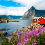 Explore the Lofoten Islands in Norway's north
