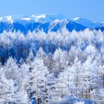 Explore several areas of the Japanese Alps in less than a week