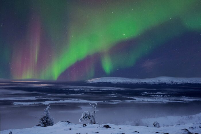 Northern Lights Photography Tour