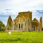 Explore the historic highlights of Ireland, like Blarney Castle