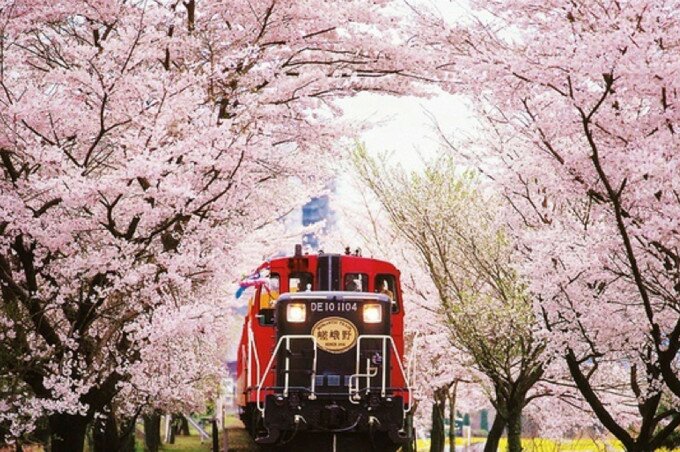 Full Day Tour to Arashiyama Bamboo Grove & Sagano Scenic Railway