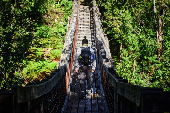 Trek to waterfalls in the Valdivian rainforest of Alerce Andino National Park