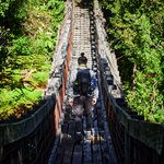 Trek to waterfalls in the Valdivian rainforest of Alerce Andino National Park