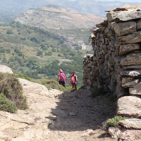 Mount Zas Hike: the highest peak in the Cyclades!