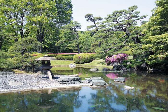 Exploring Tokyo in a Day: Culture, Cuisine, and Serenity Amidst the City