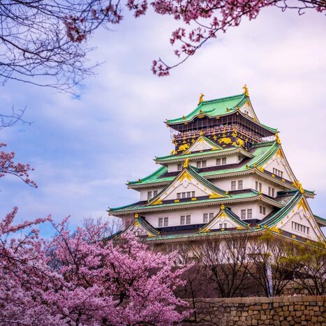 Osaka Highlights & River Cruise（Private Guide, Public Transportation）