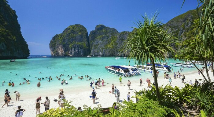 Day trip to Phi Phi island and Bamboo island by speedboat!