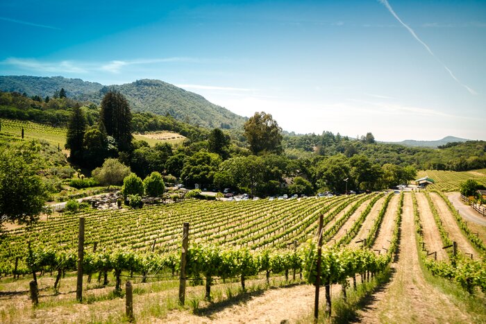Afternoon at leisure in Tuscan Countryside