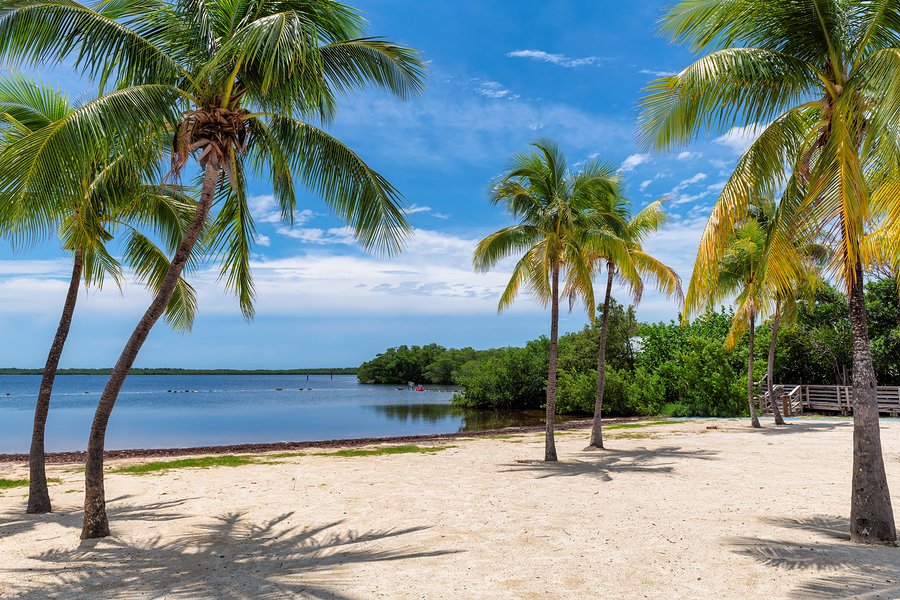 A beach on Key Largo