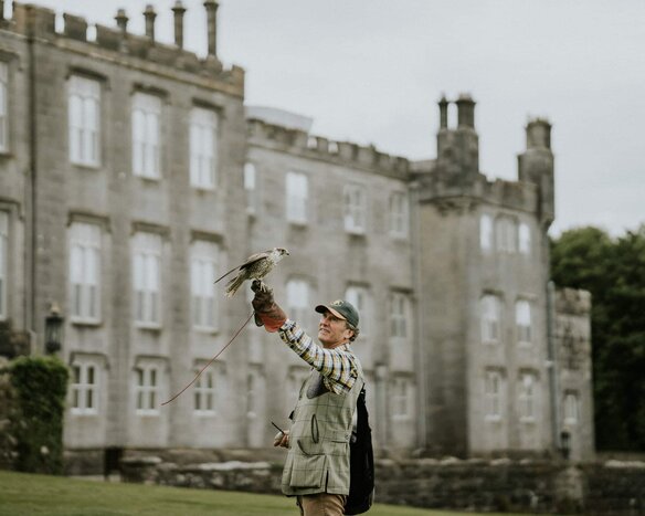 Falconry at Dromoland Castle