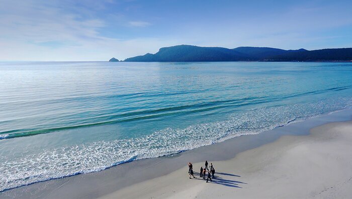 Bruny Island Day Trip