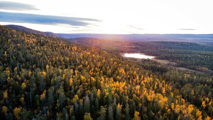 Pallas National Park Wilderness Adventure