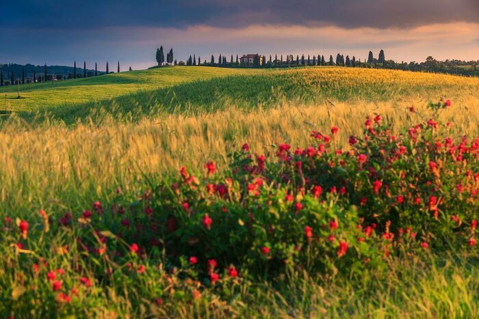 Private bike tour in Tuscany Countryside