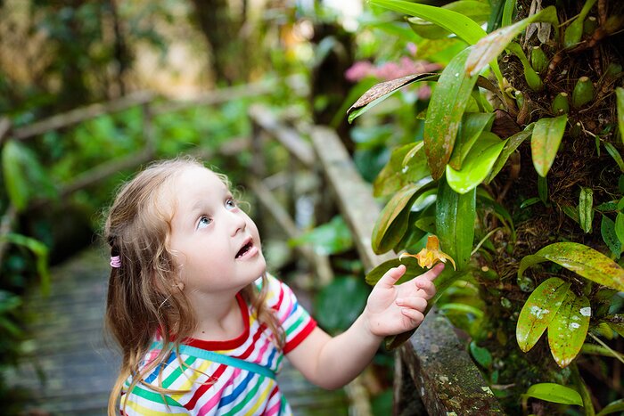 Travel to a rainforest lodge for family hikes, canoeing, and wildlife spotting in the Ecuadorian Amazon