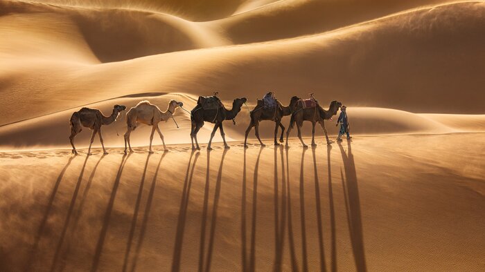 Camel Trek in Cheggaga Dunes