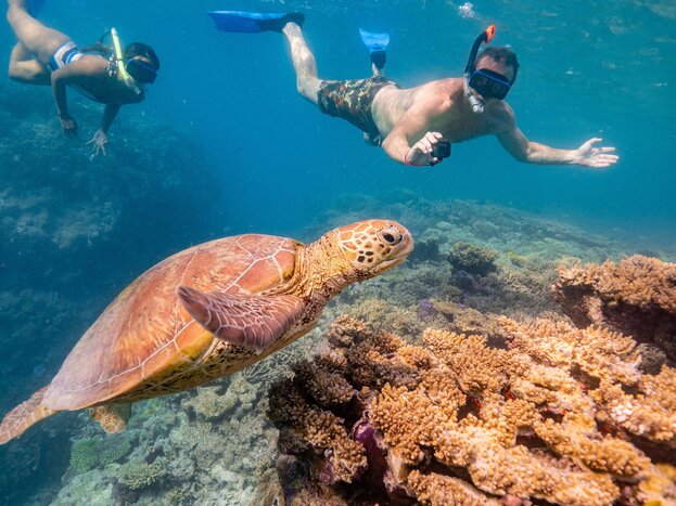 Dive into the Azure Waters of Dubrovnik