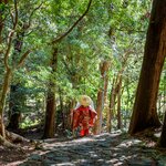 Hike a portion of the 43-mile, UNESCO-listed Kumano Kodo trail