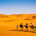 Take a memorable sunset camel ride in the sand dunes of Merzouga