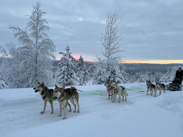 Sustainable Wilderness Husky Safari 