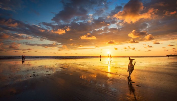 Explore the Beaches Around Puerto Viejo