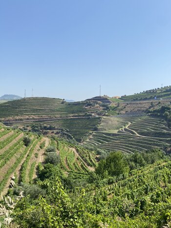 Private Douro Valley Hike