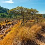 Visit Costa Rica and visit national parks like Rincon de la Vieja on your next kimkim trip