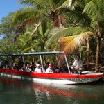 This group boat cruise takes you deep into biodiverse mangrove ecosystems (photo courtesy of Tucanes Tours)