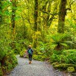 Enjoy a mix of guided excursions and free time to choose your own hiking adventures