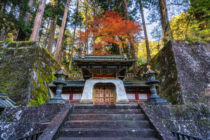 Best Time of Year to Visit Japan