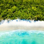 An aerial view of Cape Tribulation in North Queensland, Australia