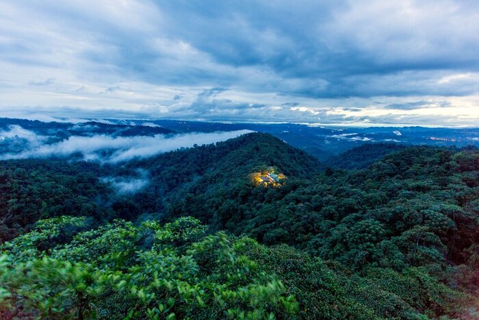 Escape to Ecuador's cloud forest and thrill to jungle adventures (photo courtesy of Mashpi Lodge)