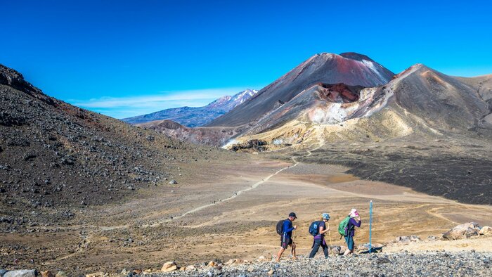 Tongariro Alpine Crossing - self guided - parking & shuttle to the start point 