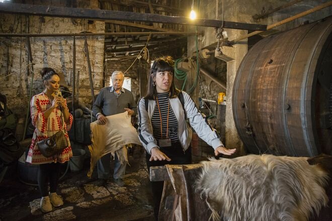 The Ultimate Delphi Day Trip from Athens