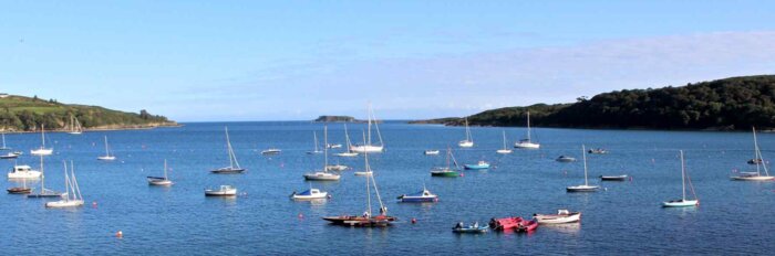 West Cork off the beaten path ( Day 1) 
