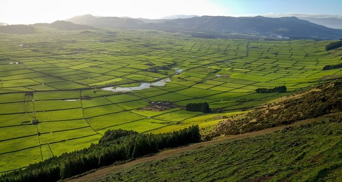 Buggy Off-Road Experience on Terceira