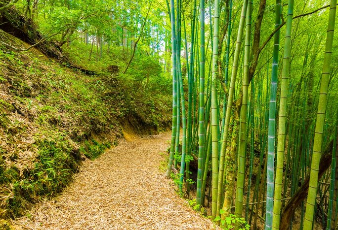 Hike from Nagiso to Nojiri